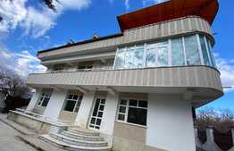 Vilă de 242 mp utili, 973 mp curte cu piscină, Breasta