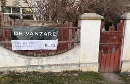 Vilă de 242 mp utili, 973 mp curte cu piscină, Breasta