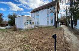 Vilă de 242 mp utili, 973 mp curte cu piscină, Breasta