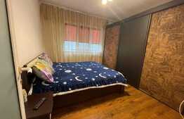 Apartament 2 camere, pet friendly, parcare, Craiovita Noua