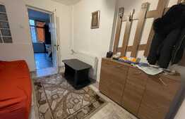 Apartament 2 camere, pet friendly, parcare, Craiovita Noua