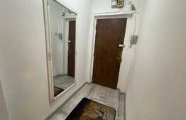 Apartament 2 camere, pet friendly, parcare, Craiovita Noua