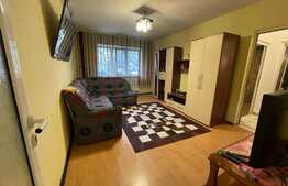 Apartament 2 camere, pet friendly, parcare, Craiovita Noua