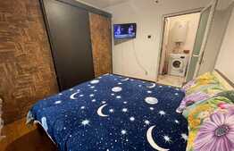 Apartament 2 camere, pet friendly, parcare, Craiovita Noua