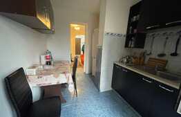 Apartament 2 camere, pet friendly, parcare, Craiovita Noua