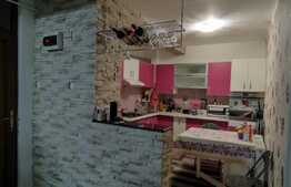 Apartament in vila 3 camere decomandat cu gradina, Toporasi