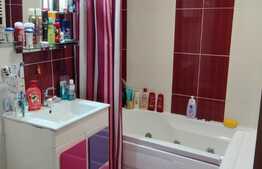 Apartament in vila 3 camere decomandat cu gradina, Toporasi