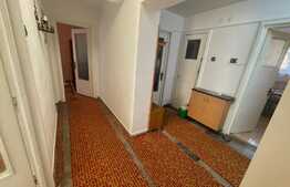 Apartament de 3 camere situat in Brazda lui Novac