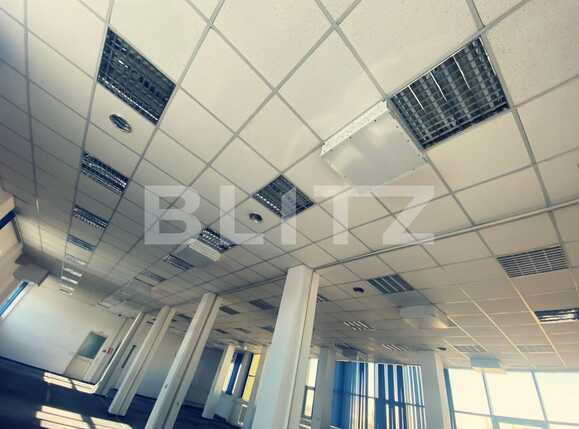 Spațiu comercial de închiriat Valea Rosie - 80147SIC | BLITZ Craiova | Poza9