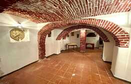 Afacere la cheie, pensiune si restaurant, 1035 mp, zona centrala