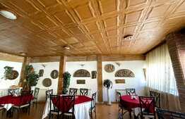 Afacere la cheie, pensiune si restaurant, 1035 mp, zona centrala