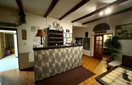 Afacere la cheie, pensiune si restaurant, 1035 mp, zona centrala