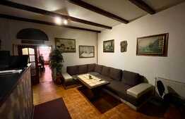 Afacere la cheie, pensiune si restaurant, 1035 mp, zona centrala