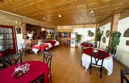 Afacere la cheie, pensiune si restaurant, 1035 mp, zona centrala