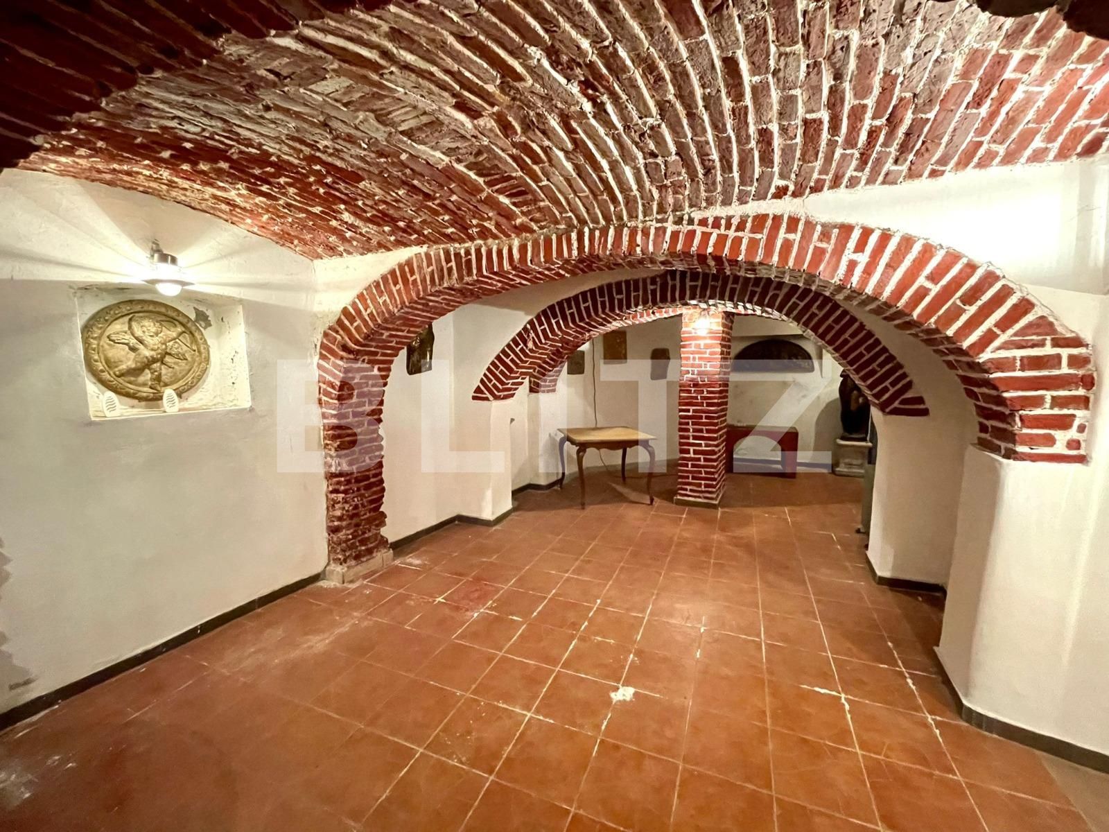 Spațiu comercial de închiriat Central - 80209SIC | BLITZ Craiova | Poza15