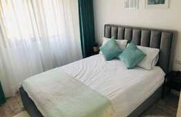 Apartament 2 camere decomandat, modern, zona Rovine