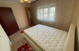 Apartament de vanzare, 2 camere, 55 mp, mobilat, zona Confectii