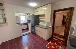 Apartament de vanzare, 2 camere, 55 mp, mobilat, zona Confectii