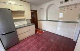 Apartament de vanzare, 2 camere, 55 mp, mobilat, zona Confectii