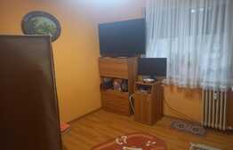 Apartament de 3 camere, etaj intermediar, Valea Rosie