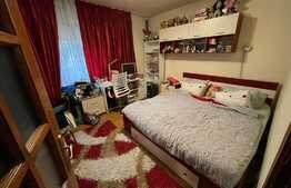 Apartament 2 camere, etaj intermediar, zona George Enescu