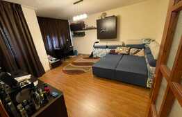 Apartament 2 camere, etaj intermediar, zona George Enescu