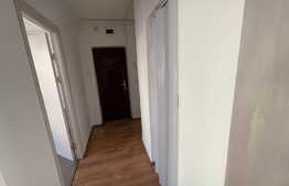 Ocazie! Apartament 2 camere Calea Severinului pretabil spatiu comercial