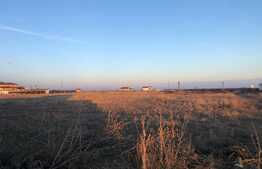 Teren intravilan 5.000 mp la strada principală, Cârcea