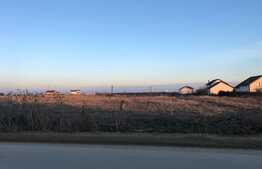 Teren intravilan 5.000 mp la strada principală, Cârcea