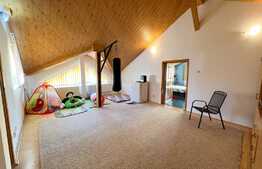 REDUCERE! Vilă 511 mp utili, cu piscină încălzită, saună, jacuzzi și curte 1.621 mp, zona Ford