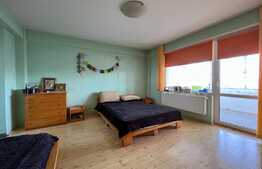 REDUCERE! Vilă 511 mp utili, cu piscină încălzită, saună, jacuzzi și curte 1.621 mp, zona Ford