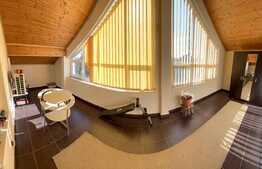 REDUCERE! Vilă 511 mp utili, cu piscină încălzită, saună, jacuzzi și curte 1.621 mp, zona Ford