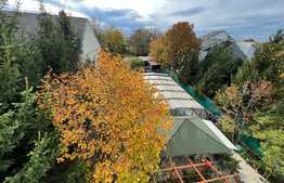 REDUCERE! Vilă 511 mp utili, cu piscină încălzită, saună, jacuzzi și curte 1.621 mp, zona Ford