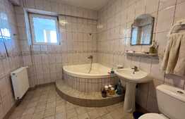 REDUCERE! Vilă 511 mp utili, cu piscină încălzită, saună, jacuzzi și curte 1.621 mp, zona Ford