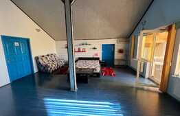 REDUCERE! Vilă 511 mp utili, cu piscină încălzită, saună, jacuzzi și curte 1.621 mp, zona Ford