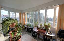 REDUCERE! Vilă 511 mp utili, cu piscină încălzită, saună, jacuzzi și curte 1.621 mp, zona Ford