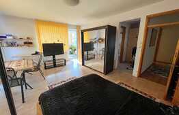 REDUCERE! Vilă 511 mp utili, cu piscină încălzită, saună, jacuzzi și curte 1.621 mp, zona Ford