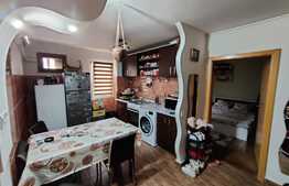 Apartament 3 camere, etaj 1 Brazda lui Novac