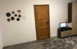 Apartament 2 camere, mobilat si utilat, zona Rovine