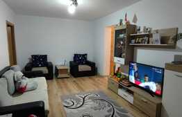 Apartament cu 2 camere, etaj intermediar, Calea Severinului, zona Gradinii Botanice