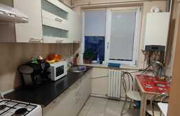 Apartament cu 2 camere, etaj intermediar, Calea Severinului, zona Gradinii Botanice