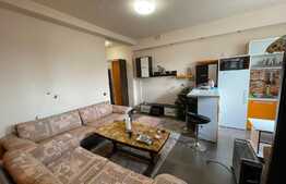 Apartament de 2 camere semidecomandat zona Calea Severinului