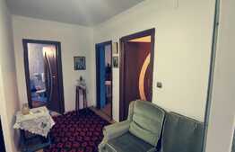 Casa 79 mp cu 272 mp teren, Rovine 2!