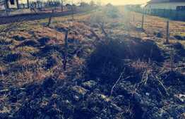 Teren intravilan stradal,1275 mp in Preajba!