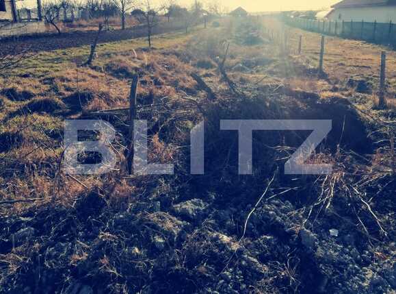 Teren de vânzare Branişte (Podari) - 80973TV | BLITZ Craiova | Poza2