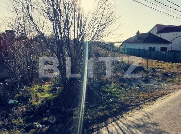 Teren de vânzare Branişte (Podari) - 80973TV | BLITZ Craiova | Poza1