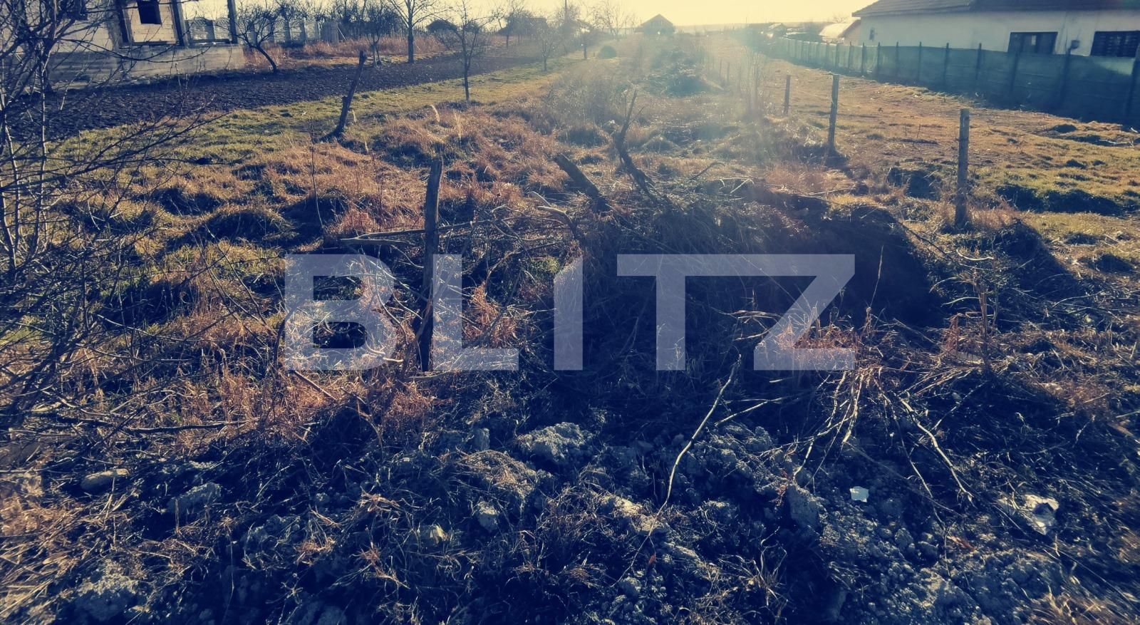 Teren de vânzare Branişte (Podari) - 80973TV | BLITZ Craiova | Poza2