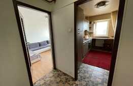 Apartament de 2 camere, decomandat, 51 mp totali, Lapus, zona Intim