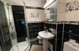 Apartament de 2 camere, decomandat, 51 mp totali, Lapus, zona Intim