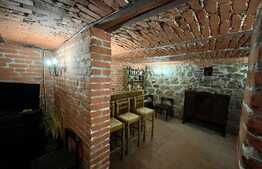 Casa boiereasca bine intretinuta, 650 mp, 800 mp teren, Central!